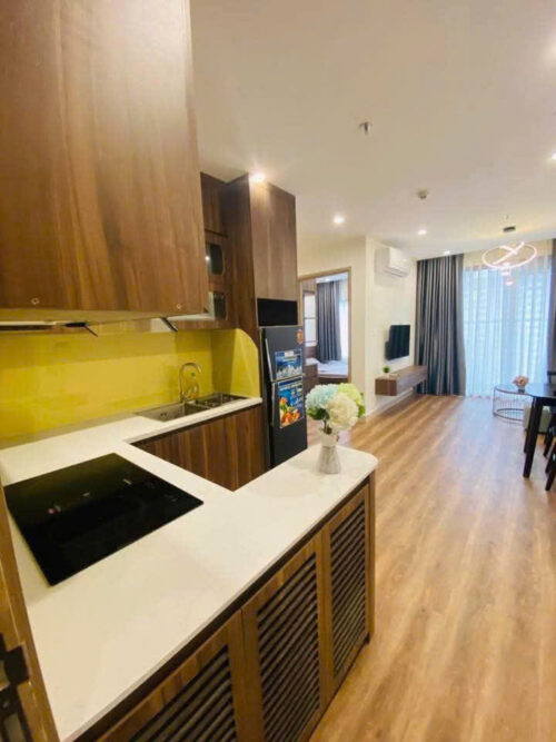 Cho thuê căn hộ 1PN+1 full đồ Vinhomes Ocean Park S2.09