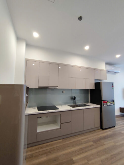 Cho thuê căn hộ 1PN The Zurich Vinhomes Ocean Park
