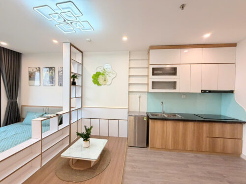 Cho thuê căn hộ Studio Vinhomes Ocean Park tòa S1.12 view đẹp, giá 7tr