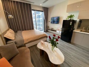 Studio Apartments in Vinhomes Ocean Park – Smart Living for Expats in Hanoi