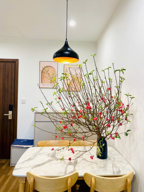 Cho thuê căn 2PN 2WC tại Zurich 2 – Vinhomes Ocean Park