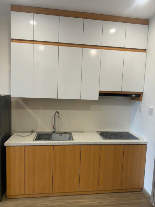 Cho thuê căn hộ Studio tòa P2 Vinhomes Ocean Park