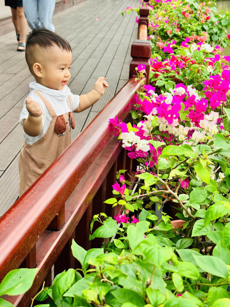 Công viên Hồ Thiên Nga (Ecopark) - Nơi con trẻ được thoả thích ngắm hồ và hoa, thiên nga