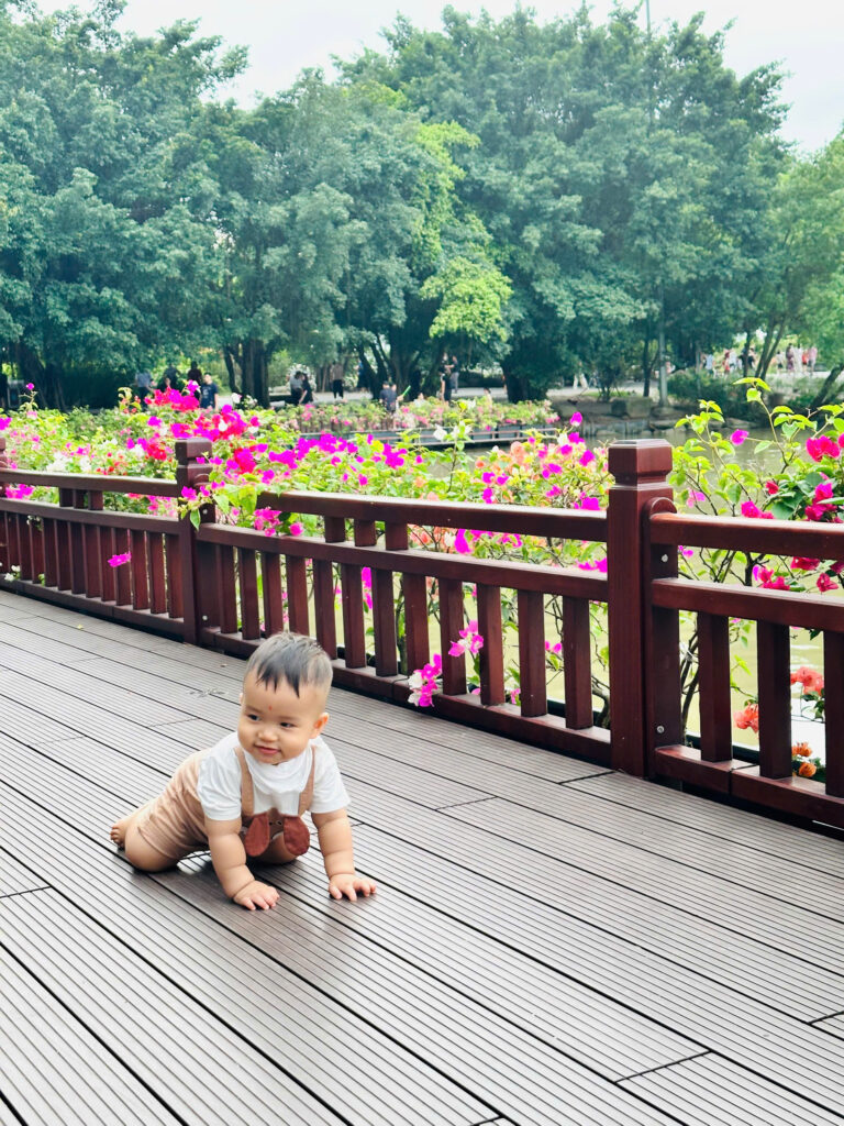 Công viên Swanlake hồ Thiên Nga Công viên Swanlake hồ Thiên Nga - điểm cho trẻ nhỏ vui chơi thoả thích