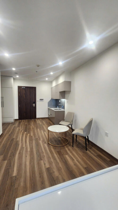 Cho thuê căn hộ studio Zurich ZR2 Vinhomes Ocean Park full nội thất