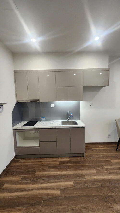 Cho thuê căn hộ studio Zurich ZR2 Vinhomes Ocean Park full nội thất