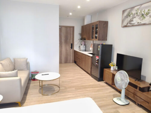 Homestay tòa Landmark Ecopark full nội thất, view hồ đẹp, giá tốt