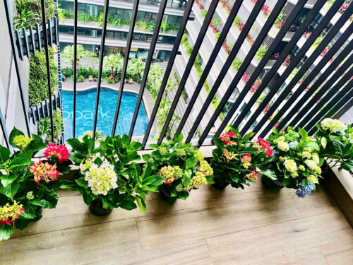 Homestay Swanlake Onsen Ecopark R2 2 phòng ngủ view hồ Thiên Nga và sân Golf