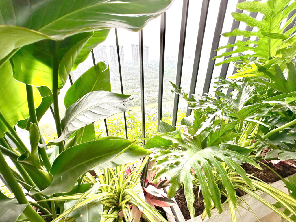 Homestay Sky Forest Ecopark theo giờ qua đêm