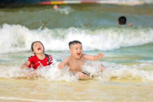 Chơi Gì Ở Ocean Park? 15 Trải Nghiệm Hấp Dẫn Nhất 2026