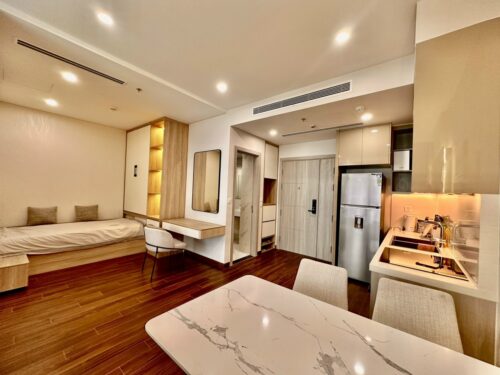 Homestay Masteri West Heights tòa D căn 1PN+1 diện tích 50m², tầng cao, view hồ