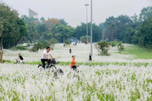 Top 15 Địa Điểm Check-in Đẹp Nhất Ecopark