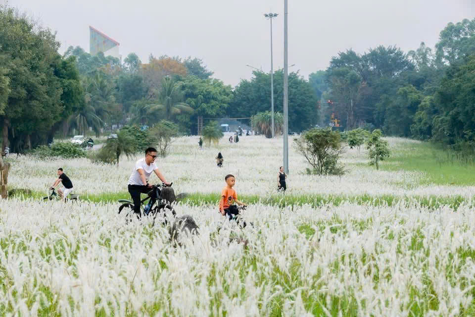 Top 15 Địa Điểm Check-in Đẹp Nhất Ecopark
