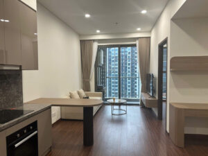 Cho thuê căn hộ 1PN+ Masteri Waterfront H3 tầng cao full nội thất giá 10 triệu
