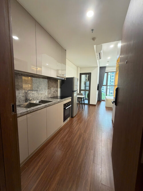 Studio Apartment for Rent in Masteri Waterfront H1