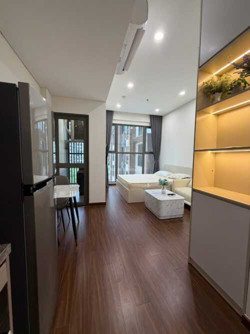 Studio Apartment for Rent in Masteri Waterfront H1