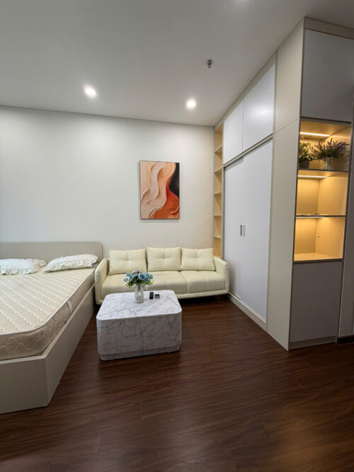 Studio Apartment for Rent in Masteri Waterfront H1