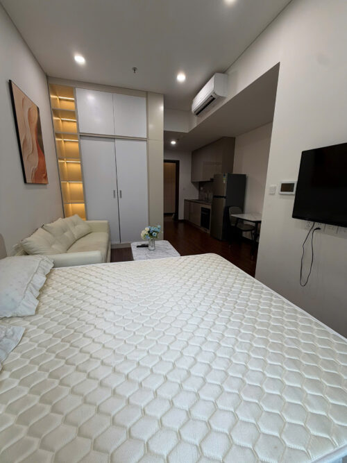 Studio Apartment for Rent in Masteri Waterfront H1