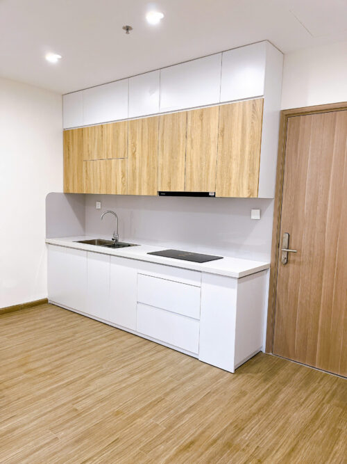 1 Bedroom + 1 Apartment for Rent in The Pavilion P2 | Fully Furnished | Vinhomes Ocean Park