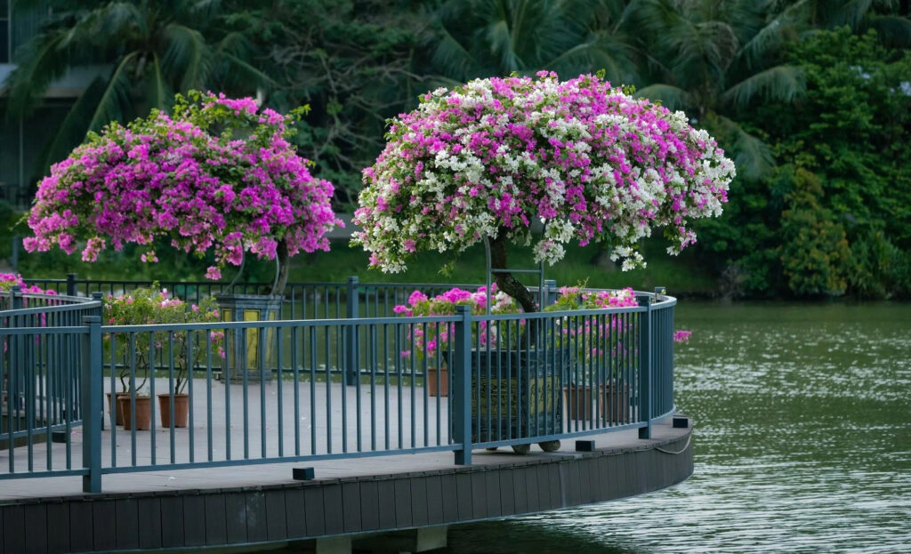 Đi dạo quanh công viên hồ Thiên Nga Ecopark Đi dạo quanh công viên hồ Thiên Nga Ecopark