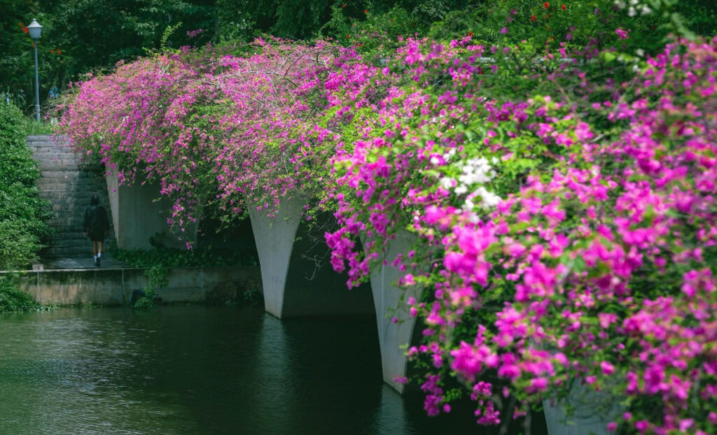 Picnic và tận hưởng không gian xanh tại Ecopark Picnic và tận hưởng không gian xanh tại Ecopark