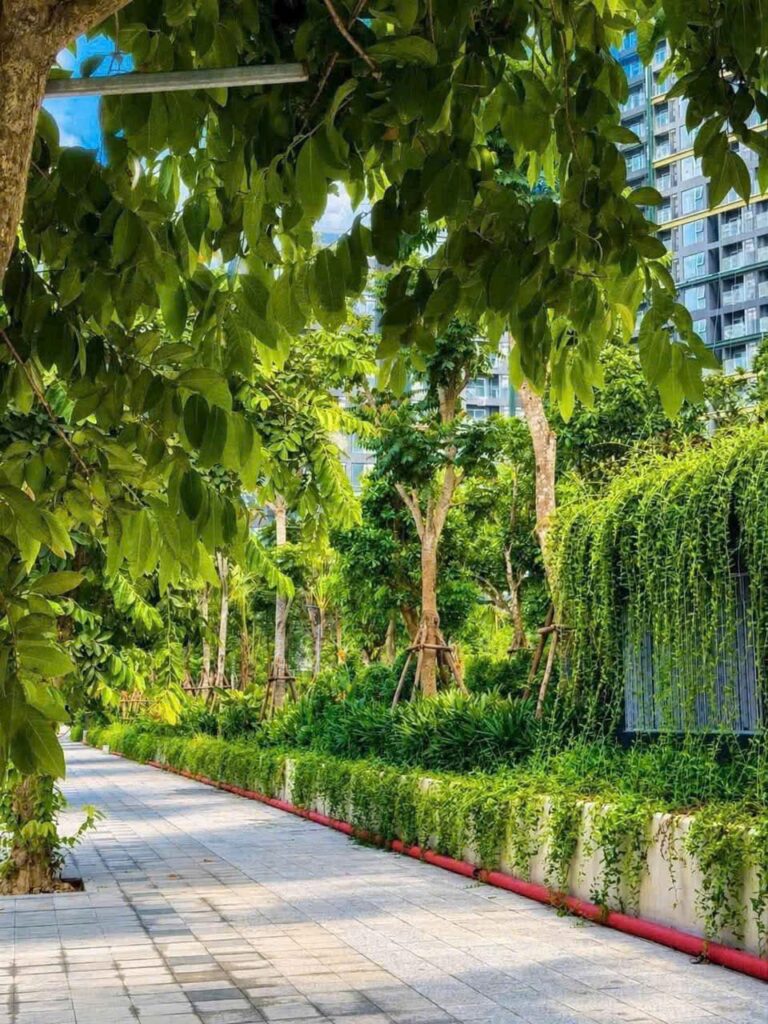 Homestay LUMIÈRE SpringBay Ocean Park 2 | Căn Đẹp, Giá & Đặt Phòng