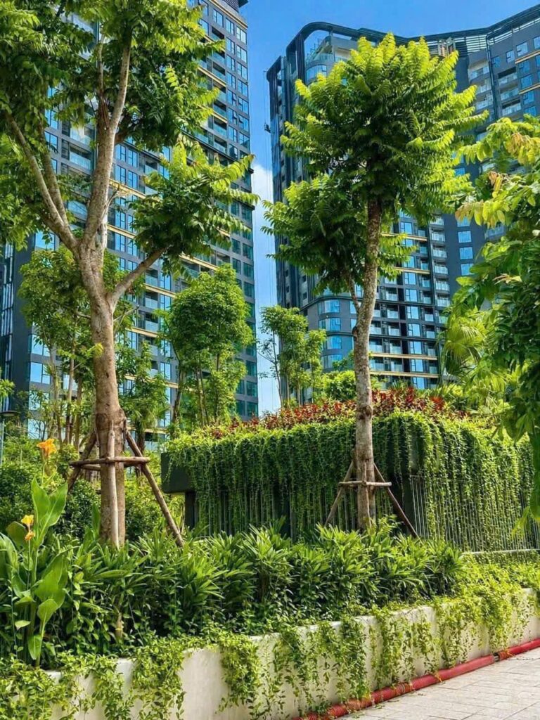 Homestay LUMIÈRE SpringBay Ocean Park 2 | Căn Đẹp, Giá & Đặt Phòng