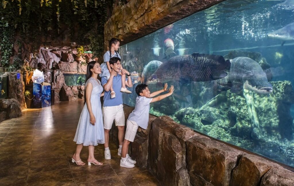 Kinh Nghiệm Đi Thủy Cung Times City Cùng Trẻ Nhỏ