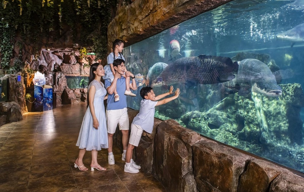 Kinh Nghiệm Đi Thủy Cung Times City Cùng Trẻ Nhỏ